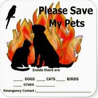 fire save pets