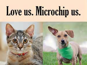 microchip 2