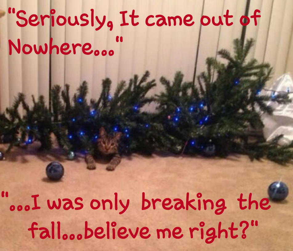 phone transfer 10152015 2150